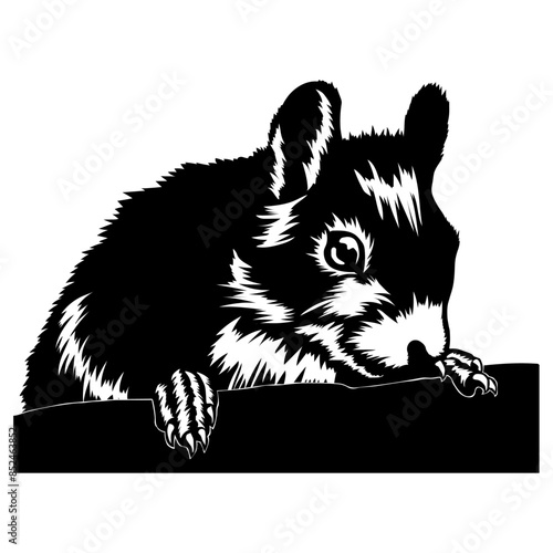 Squirrel