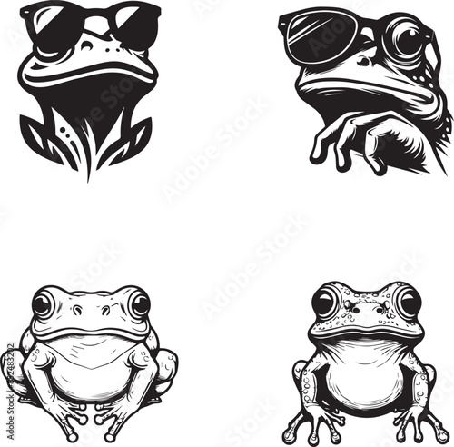 froge vector silleute icon photo