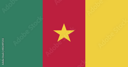 Illustration of the national flag of Cameroon
