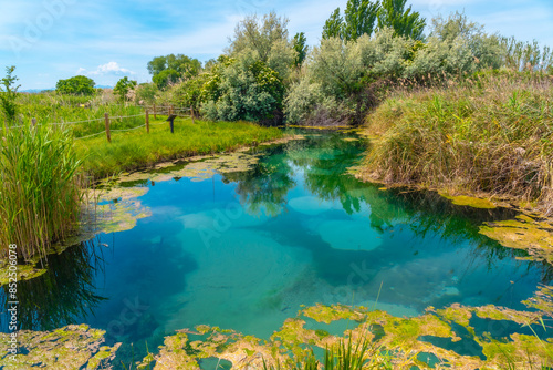 Groundwater in a lake in the wetland of the Ojos del Pontil natural park in Rueda de Jalon. Valdejalon. Zaragoza. Aragon photo