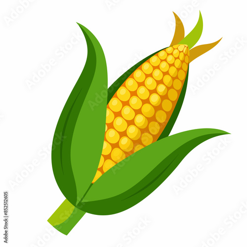 Corn vector illustration 