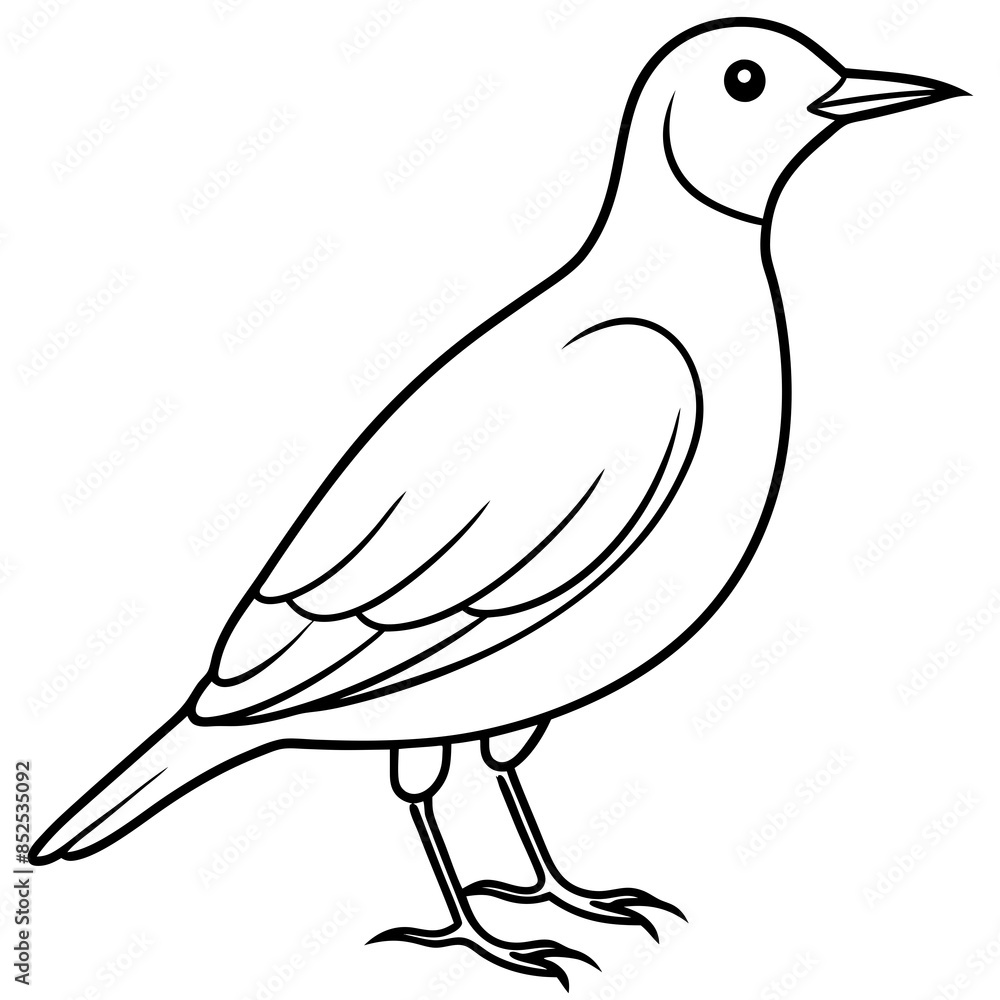 Hand Drawn Lark Bird Outline Illustration - Cute and Detailed Graphic Design. Hand Drawn Lark Bird Outline Illustration - Cute and Detailed Graphic Design.