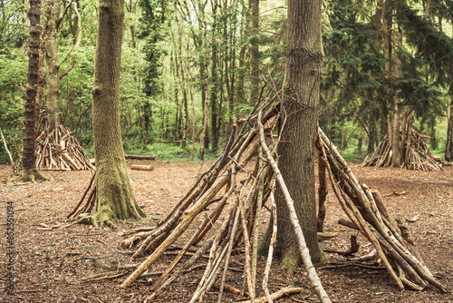 Woodland den built by children in the forest leaning branches against a tree trunk. Children activities outdoors. High quality photo. photo