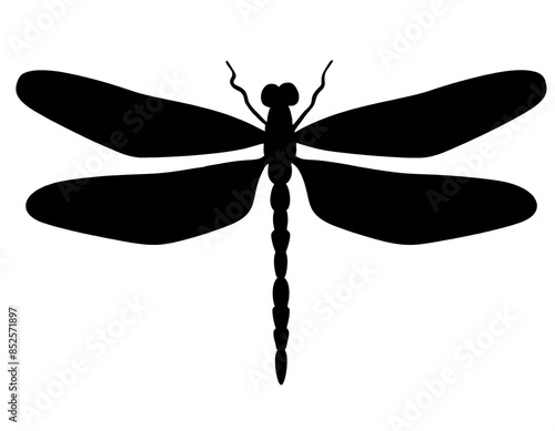 schwarze Silhouette Kontrast Libelle icon isoliert auf weißen Hintergrund, Freisteller photo