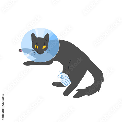 Vector illustration of a black cat with a protective veterinary cone collar, on its neck after operation or injury. Health treatment procedure for injured pets.