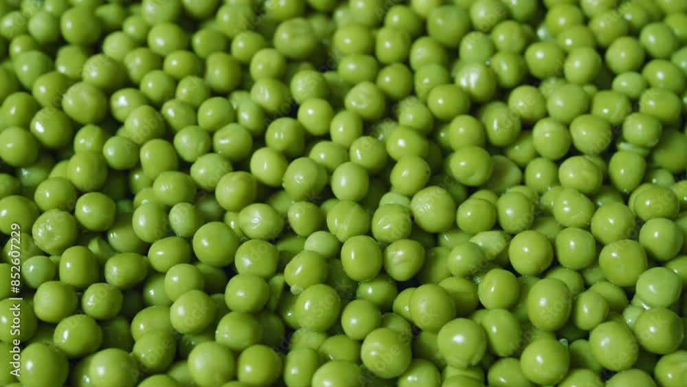 Rotating peas, close-up on green peas background. Rotating peas, close-up on green peas background.