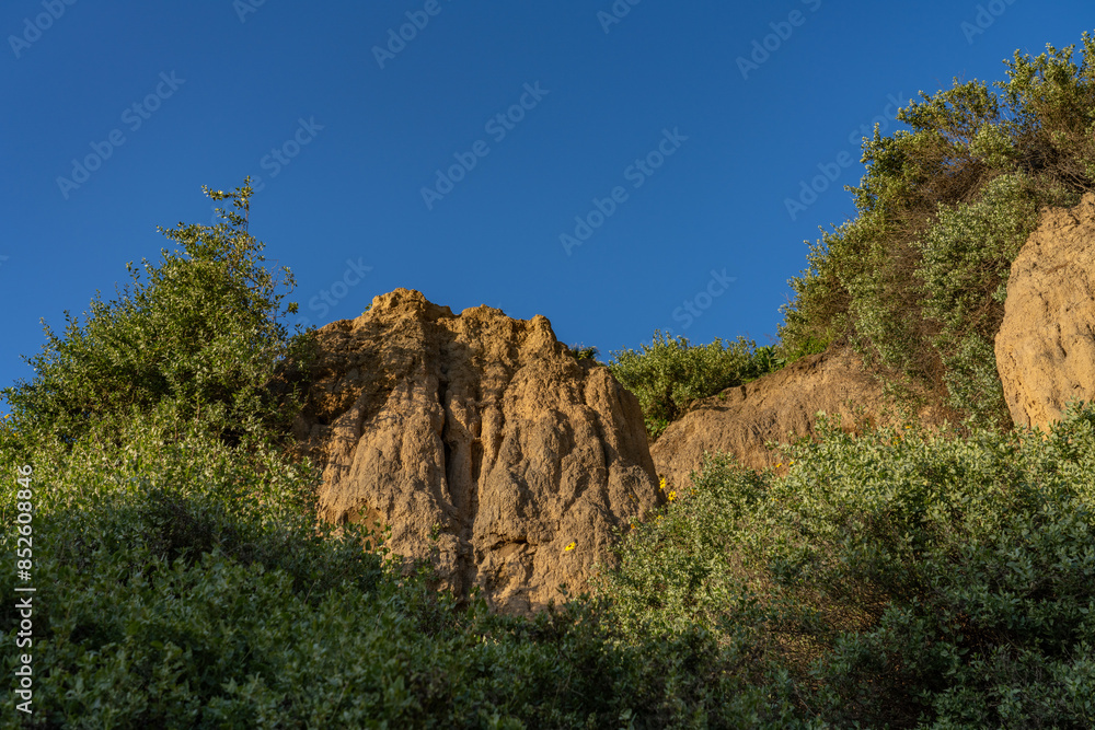 Naklejka premium Palisades Park, Santa Monica, Los Angeles, California geology. Marine Terraces and Eroded Cliffs, alluvial fan deposits of consolidated silt, sand and gravel.