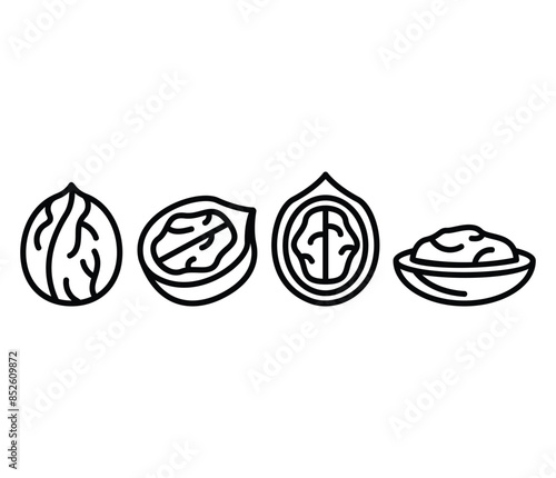 walnut icons symbol vector design simple line black white color illustration sets
