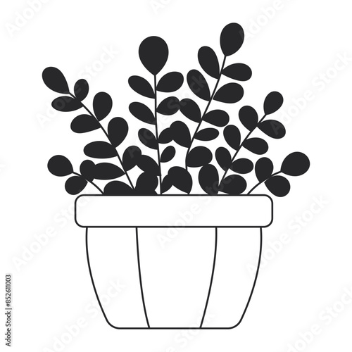 Hand drawn houseplant outline illustration isolated on white background.