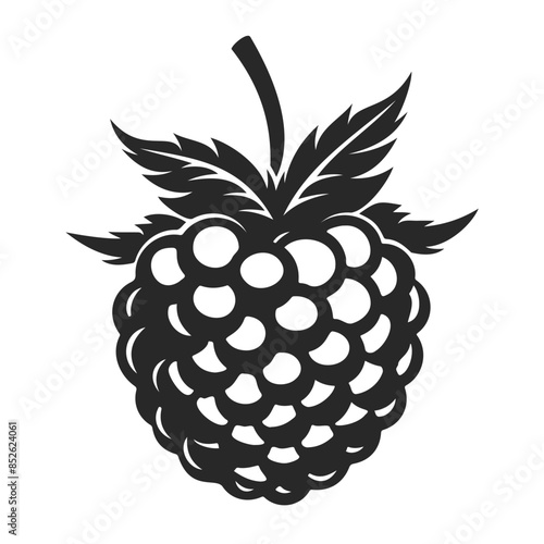 respberry Silhouette black and white outline