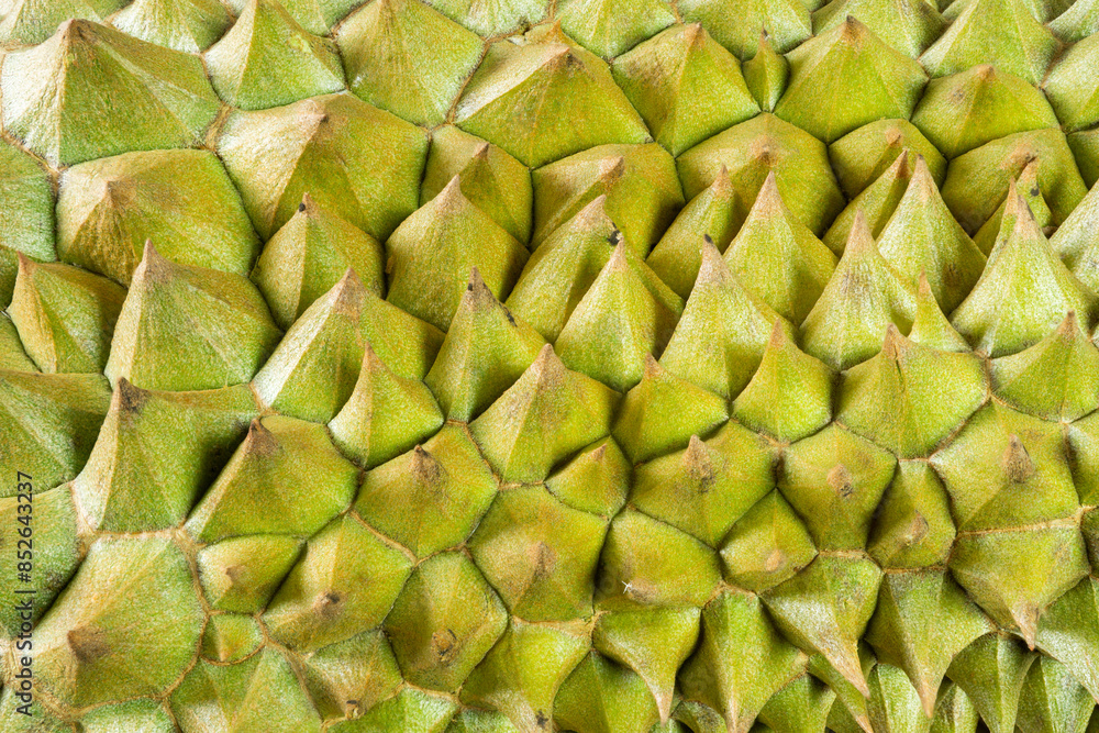 Fototapeta premium Ripe Durian fruit skin pattern close-up
