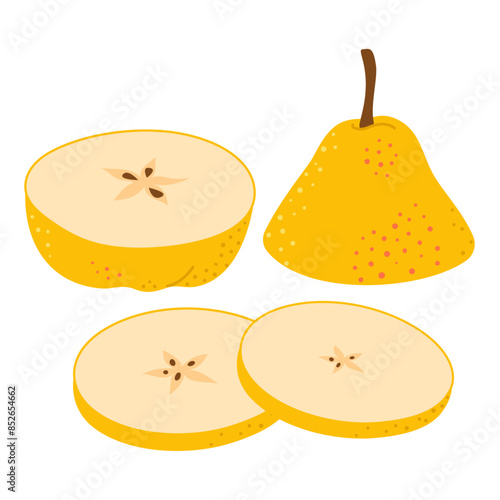 Cut yellow pear cartoon icon. Cross section of cut fresh, juicy yellow pear, slices fruit, Hand drawn trendy flat style isolated on transparent background Healthy vegetarian snack. Vector illustration
