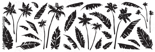 Set of hand drawn sketch black palm trees and palm leaves isolated on white background. Abstract silhouette of tropical plants. Vector illustration clipart