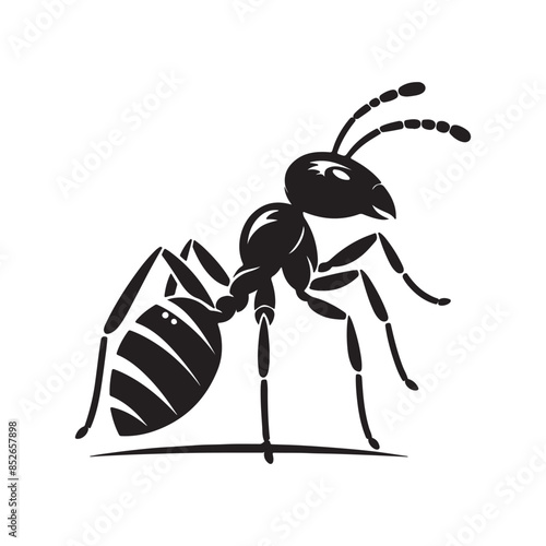 vector silhouette black ant on a white background