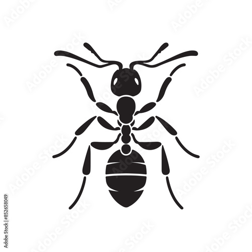 vector silhouette black ant on a white background