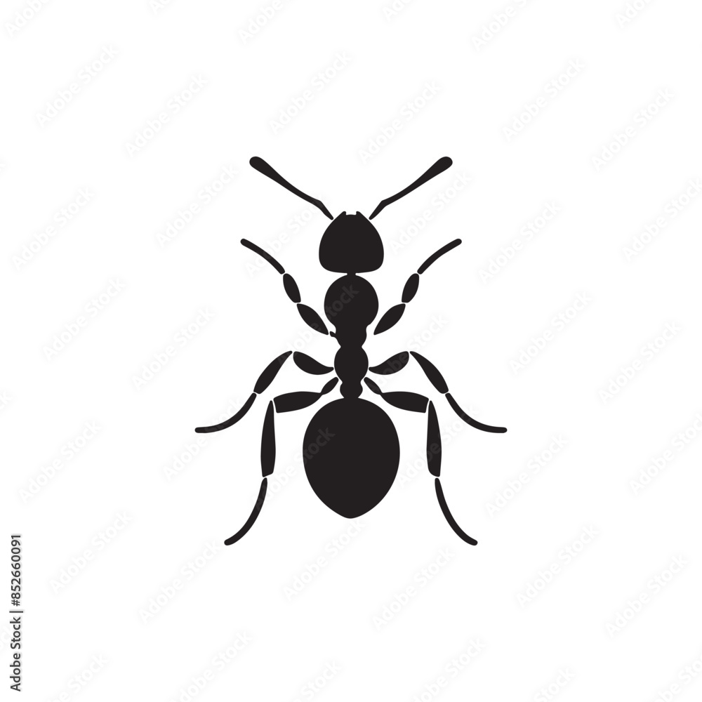 vector silhouette black ant on a white background vector silhouette black ant on a white background