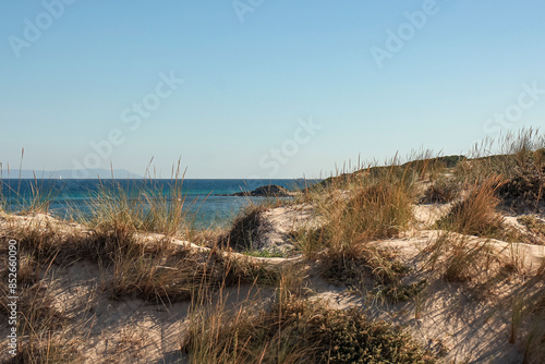 dunas y mar