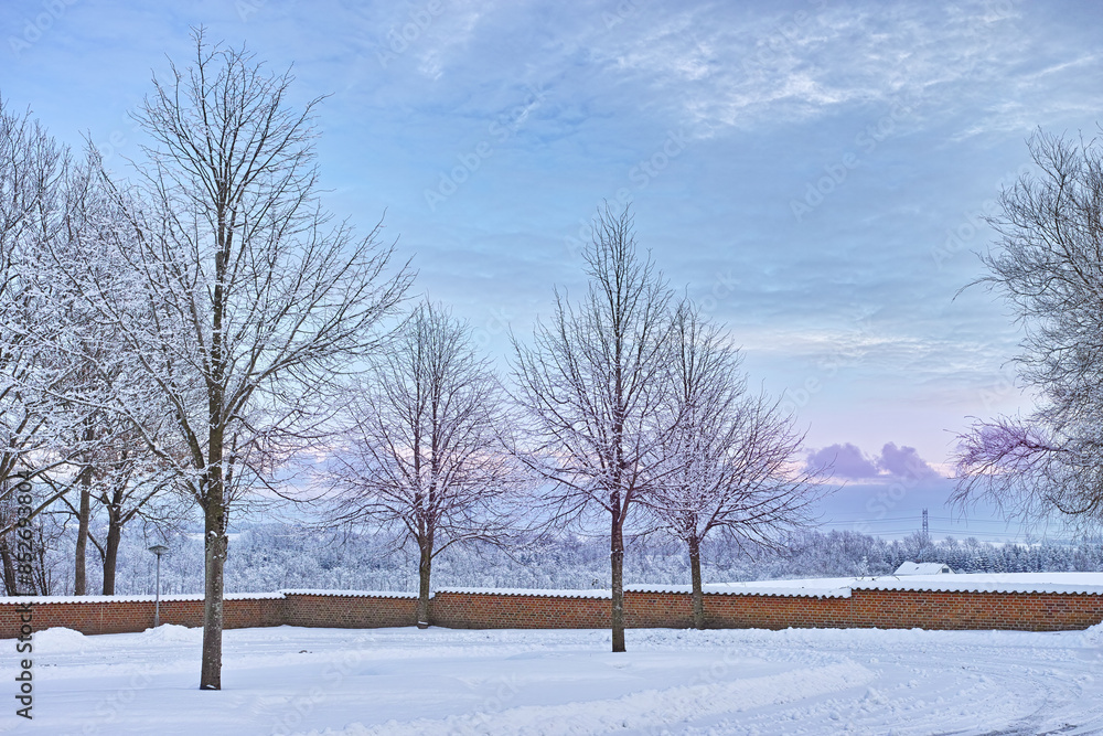 Winter, trees and snow outdoor on road, countryside or landscape with sky clouds in Sweden. Environment, forest or field in woods with ice in nature for travel, holiday or vacation as background Winter, trees and snow outdoor on road, countryside or landscape with sky clouds in Sweden. Environment, forest or field in woods with ice in nature for travel, holiday or vacation as background