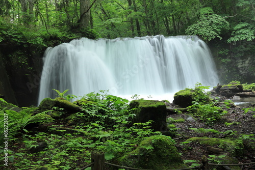 奥入瀬渓流（青森県）