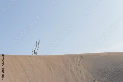 parangkusumo sand dunes on yogyakarta photo