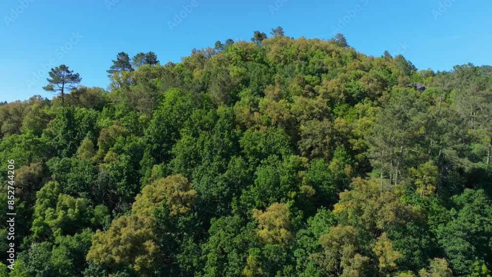 Autumn Forest Mountains In Rio Avia Nature Park In Ribadavia, Ourense Province, Galicia, Spain. Aerial Shot Autumn Forest Mountains In Rio Avia Nature Park In Ribadavia, Ourense Province, Galicia, Spain. Aerial Shot