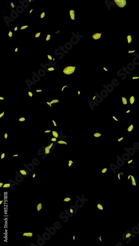 Loopable Leaves Animation on Black Background, White Background, Blue Background