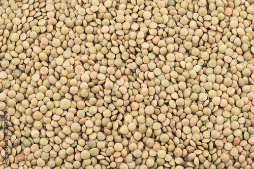 Pile of natural raw Italian lentils,legume macro close-up. photo