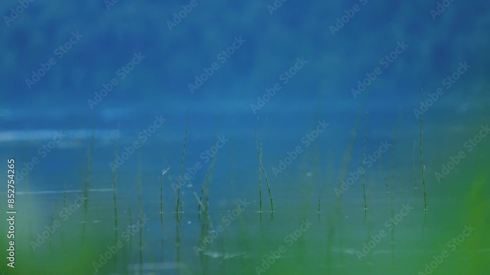 Lake shore at twilight. The sky is in the clouds, the mountains are in the background. evening landscape Lake shore at twilight. The sky is in the clouds, the mountains are in the background. evening landscape