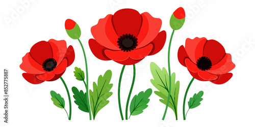 red tulips