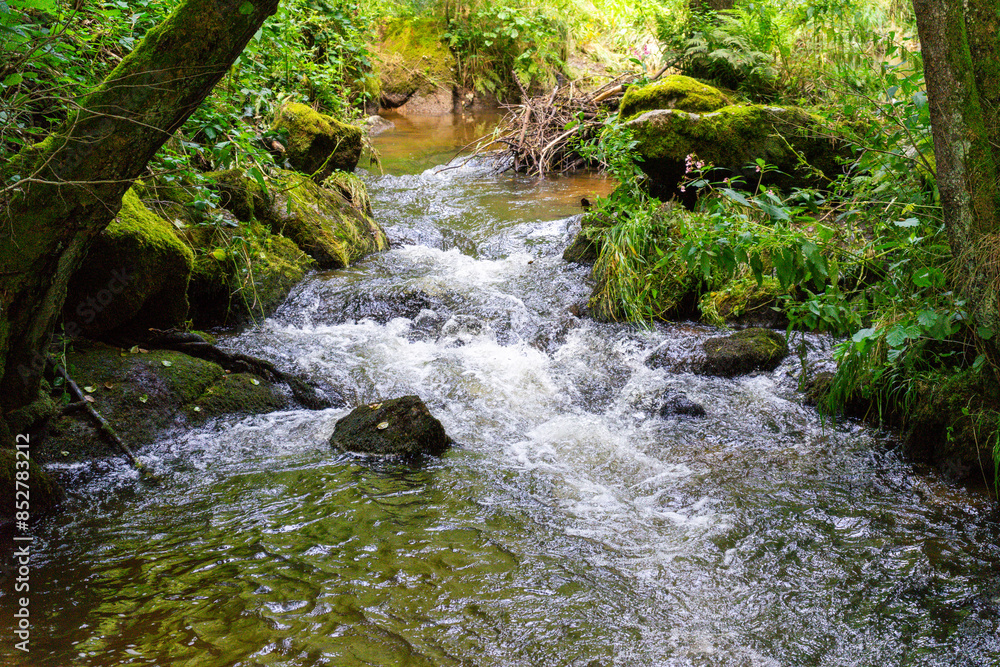 Fototapeta premium Hiking Big Ohe Stream near Castle Ransberg in the bavarian Forests.