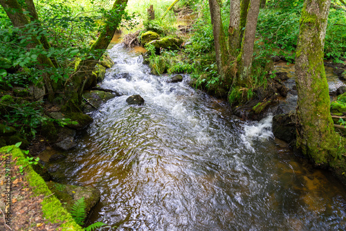 Hiking Big Ohe Stream near Castle Ransberg in the bavarian Forests. photo