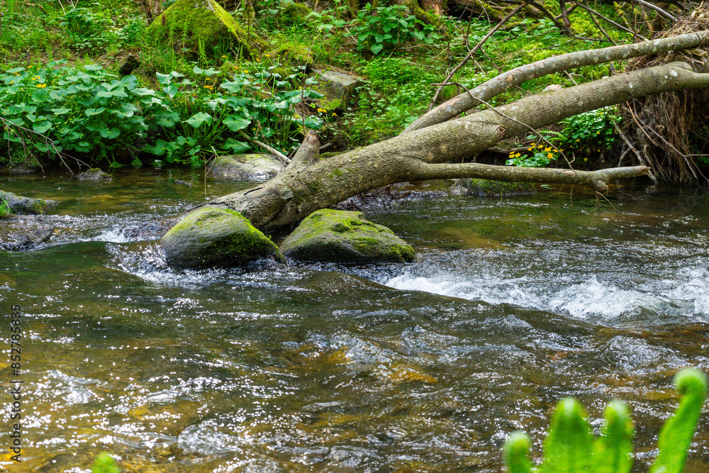 Hiking around Lalling in the Bavarian Forest, Ponds and Streams in this Area. Hiking around Lalling in the Bavarian Forest, Ponds and Streams in this Area.