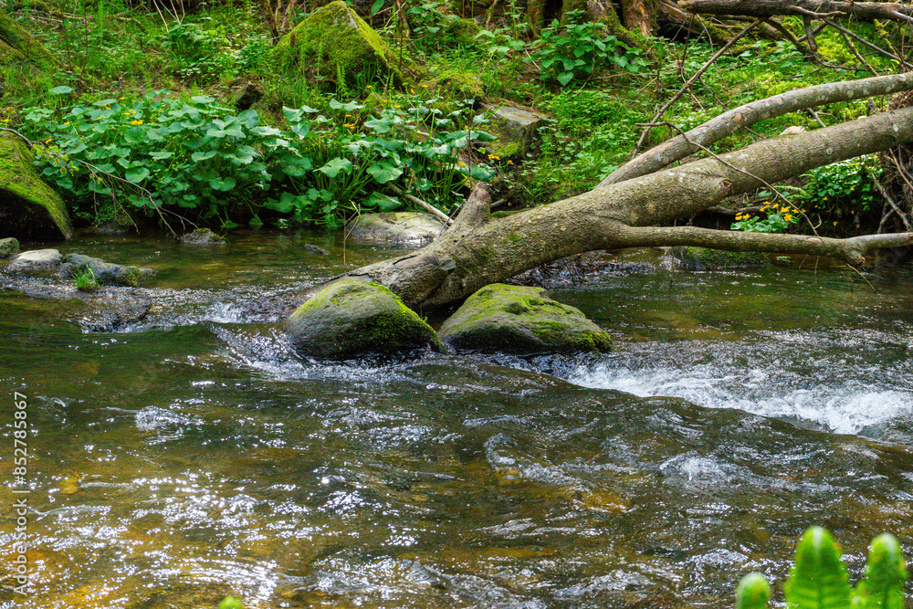Hiking around Lalling in the Bavarian Forest, Ponds and Streams in this Area. Hiking around Lalling in the Bavarian Forest, Ponds and Streams in this Area.