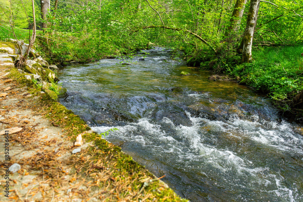 Hiking around Lalling in the Bavarian Forest, Ponds and Streams in this Area. Hiking around Lalling in the Bavarian Forest, Ponds and Streams in this Area.