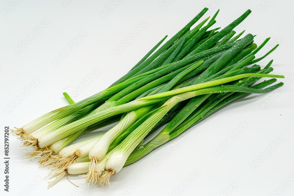 A bunch of fresh green onions isolated against a pristine white backdrop A bunch of fresh green onions isolated against a pristine white backdrop