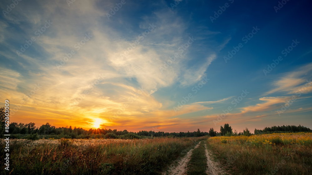 Rural road in a field against the backdrop of a summer sunset.