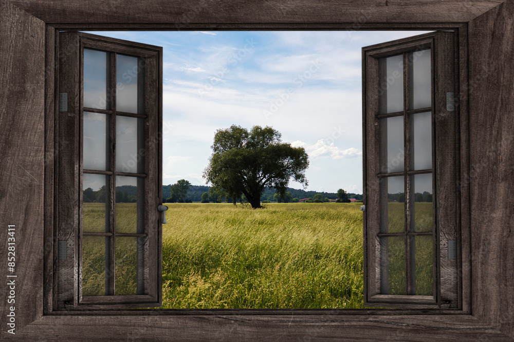 View from the Window - Sicht aus dem Fenster - Baum - Feld - Window - Wooden - Frame - View - Border - High quality photo View from the Window - Sicht aus dem Fenster - Baum - Feld - Window - Wooden - Frame - View - Border - High quality photo