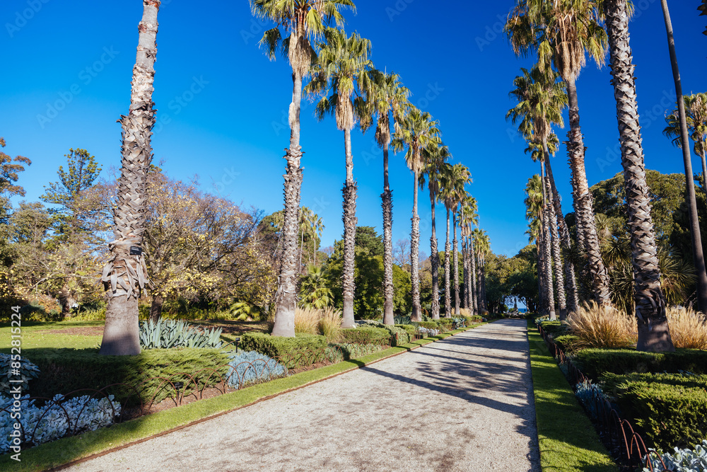 Fototapeta premium Williamstown Botanic Gardens in Melbourne Australia