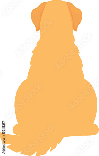 Golden retriever dog sitting, rear view, looking away, waiting, watching