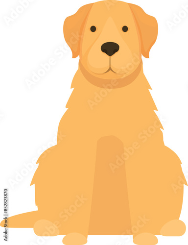 Golden retriever sitting and waiting patiently