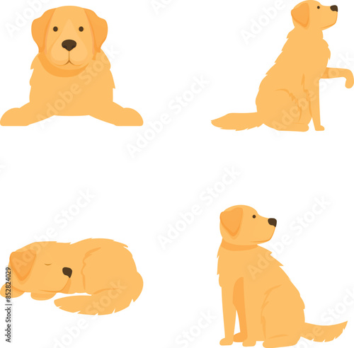 Vector illustrations of a friendly labrador in various cute poses, perfect for petthemed designs