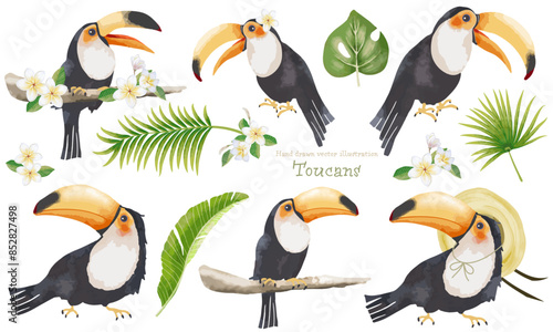 熱帯の植物とオオハシ（キョシチョウ）のイラスト素材セット