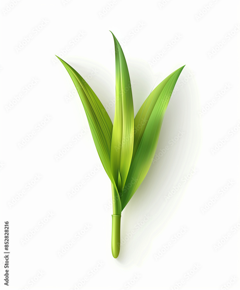 grass blades isolated on white background grass blades isolated on white background