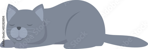 Grey cat sleeping peacefully on the floor, isolated on a white background