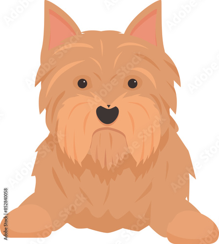 Cartoon norfolk terrier laying down with its head up and a neutral expression