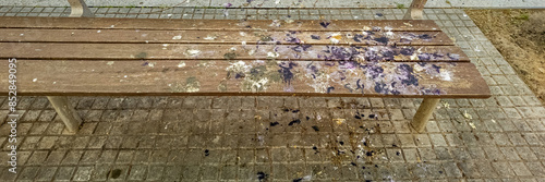 A weathered wooden park bench splattered with bird droppings, evoking urban neglect and cleanliness issues, suitable for environmental or city maintenance themes photo