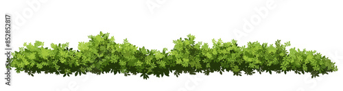 Vector watercolor green tree or forest side view isolated on white background for landscape and architecture drawing,elements for environment or garden,botanical element 
