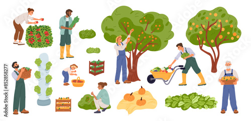 Farmers harvest fruits and vegetables. Crop picking season. Happy people with wooden crates and baskets. Gardeners pluck apple from trees. Garden bed and berry shrubs. Garish vector set