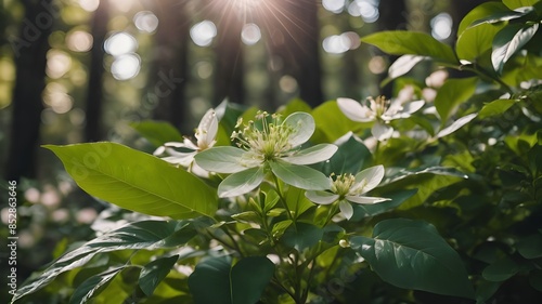 ai generated leaves spring in the garden