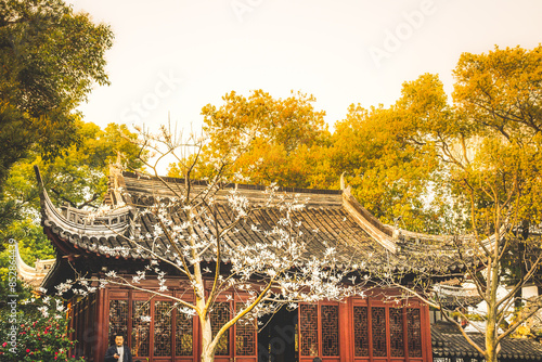 Photography view of chinese architecture in Yu Garden in Shanghai, China